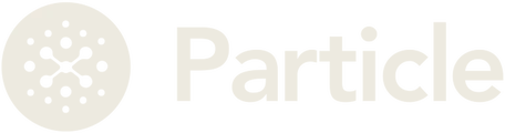 Particle